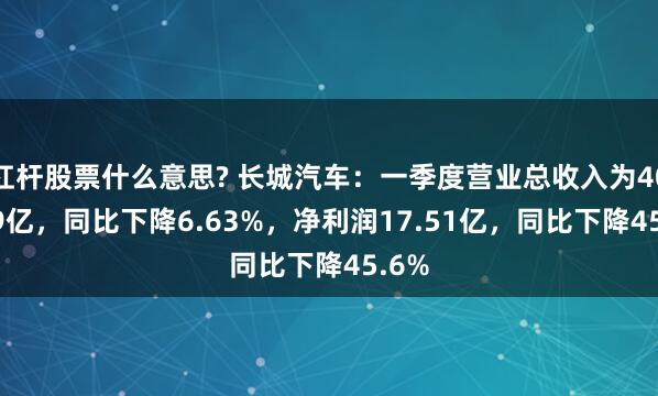 杠杆股票什么意思? 长城汽车：一季度营业总收入为400.19亿，同比下降6.63%，净利润17.51亿，同比下降45.6%