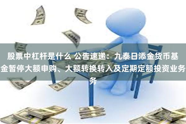 股票中杠杆是什么 公告速递：九泰日添金货币基金暂停大额申购、大额转换转入及定期定额投资业务