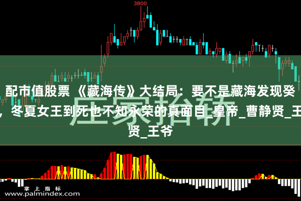 配市值股票 《藏海传》大结局：要不是藏海发现癸玺，冬夏女王到死也不知永荣的真面目_皇帝_曹静贤_王爷