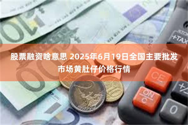 股票融资啥意思 2025年6月19日全国主要批发市场黄肚仔价格行情