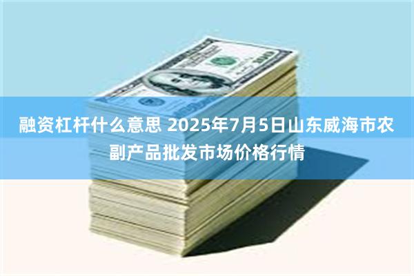 融资杠杆什么意思 2025年7月5日山东威海市农副产品批发市场价格行情