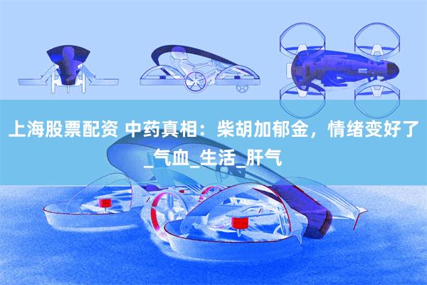 上海股票配资 中药真相：柴胡加郁金，情绪变好了_气血_生活_肝气