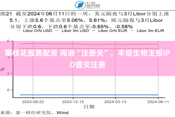 攀枝花股票配资 闯进“注册关”，丰倍生物主板IPO提交注册