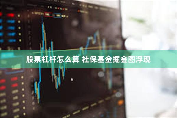 股票杠杆怎么算 社保基金掘金图浮现