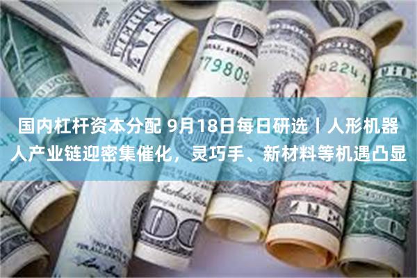 国内杠杆资本分配 9月18日每日研选丨人形机器人产业链迎密集催化，灵巧手、新材料等机遇凸显