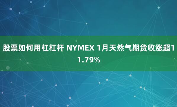 股票如何用杠杠杆 NYMEX 1月天然气期货收涨超11.79%