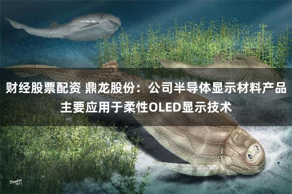财经股票配资 鼎龙股份：公司半导体显示材料产品主要应用于柔性OLED显示技术