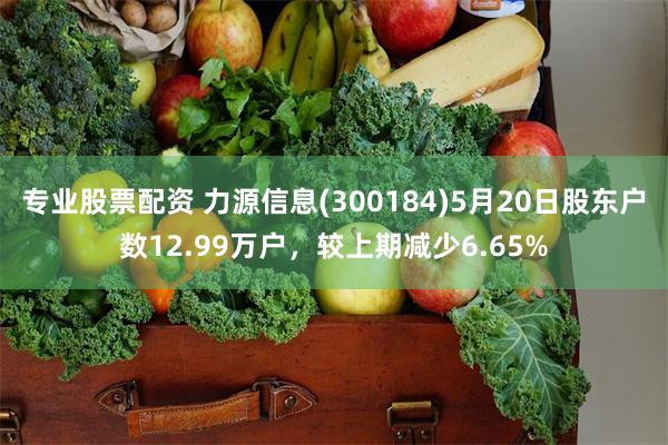 专业股票配资 力源信息(300184)5月20日股东户数12.99万户，较上期减少6.65%