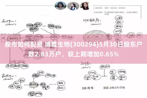 股市如何配资 博雅生物(300294)5月30日股东户数2.83万户，较上期增加0.65%
