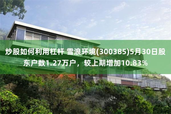 炒股如何利用杠杆 雪浪环境(300385)5月30日股东户数1.27万户，较上期增加10.83%