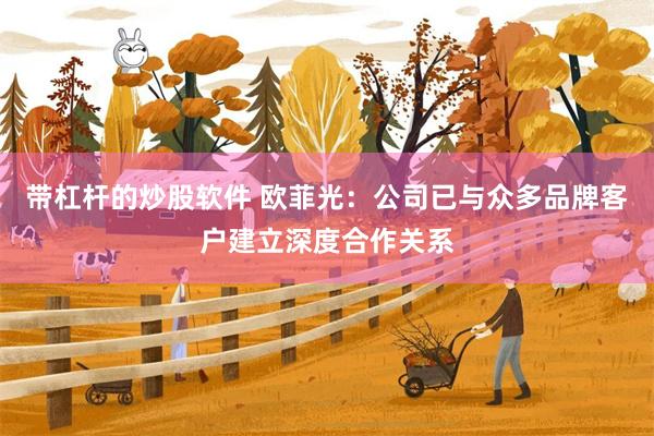 带杠杆的炒股软件 欧菲光：公司已与众多品牌客户建立深度合作关系