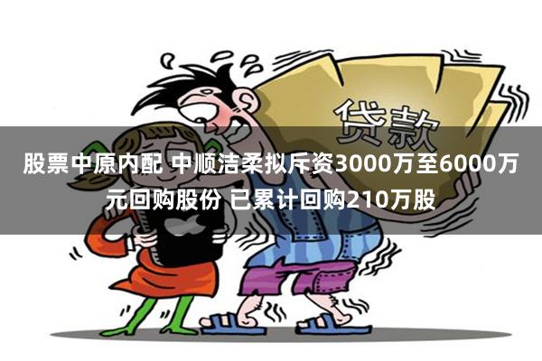股票中原内配 中顺洁柔拟斥资3000万至6000万元回购股份 已累计回购210万股