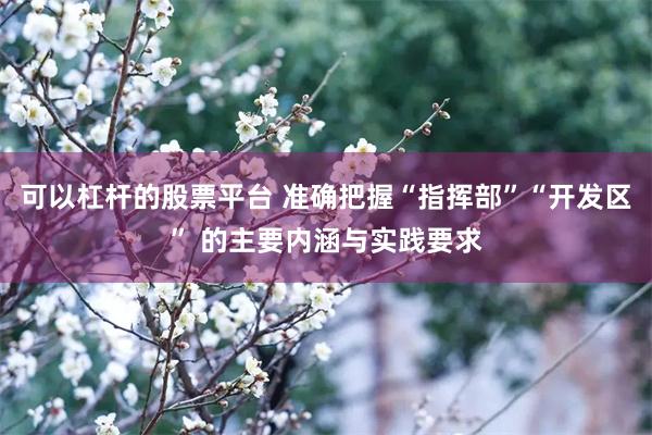 可以杠杆的股票平台 准确把握“指挥部”“开发区” 的主要内涵与实践要求