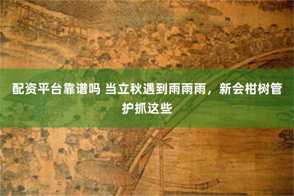 配资平台靠谱吗 当立秋遇到雨雨雨,新会柑树管护抓这些