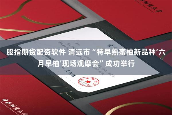 股指期货配资软件 清远市“特早熟蜜柚新品种‘六月早柚’现场观摩会”成功举行