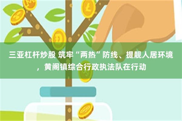 三亚杠杆炒股 筑牢“两热”防线、提靓人居环境，黄阁镇综合行政执法队在行动