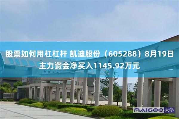 股票如何用杠杠杆 凯迪股份（605288）8月19日主力资金净买入1145.92万元