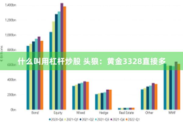 什么叫用杠杆炒股 头狼：黄金3328直接多