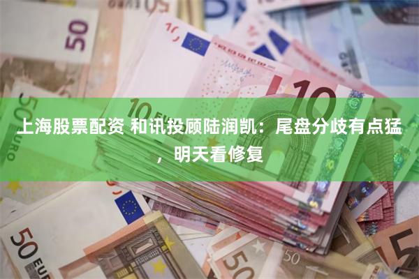 上海股票配资 和讯投顾陆润凯：尾盘分歧有点猛，明天看修复