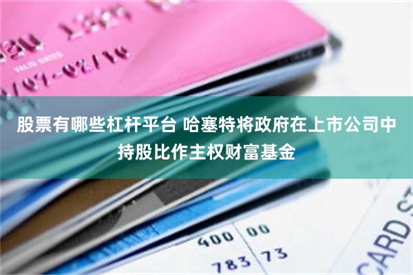 股票有哪些杠杆平台 哈塞特将政府在上市公司中持股比作主权财富基金
