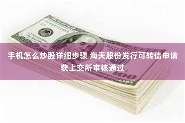 手机怎么炒股详细步骤 海天股份发行可转债申请获上交所审核通过