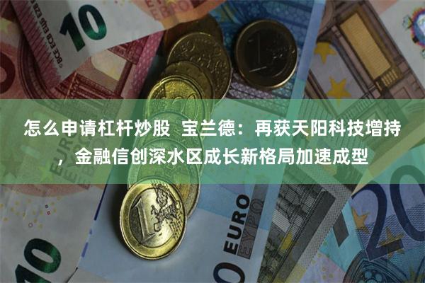 怎么申请杠杆炒股  宝兰德：再获天阳科技增持，金融信创深水区成长新格局加速成型