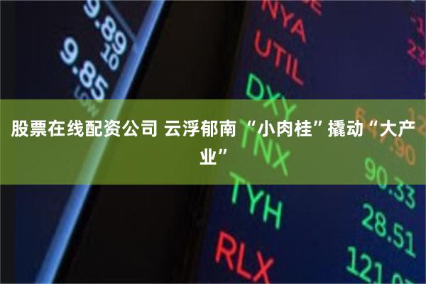 股票在线配资公司 云浮郁南 “小肉桂”撬动“大产业”