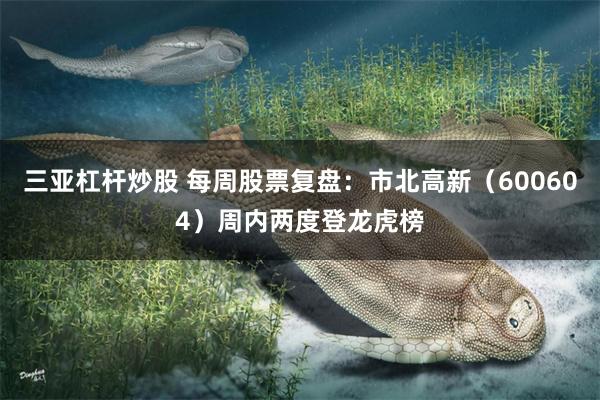 三亚杠杆炒股 每周股票复盘：市北高新（600604）周内两度登龙虎榜