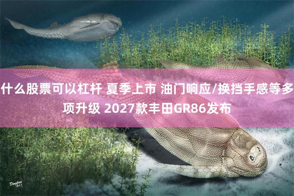 什么股票可以杠杆 夏季上市 油门响应/换挡手感等多项升级 2027款丰田GR86发布