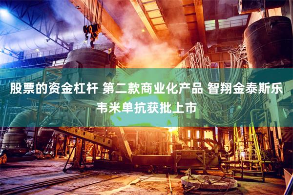 股票的资金杠杆 第二款商业化产品 智翔金泰斯乐韦米单抗获批上市