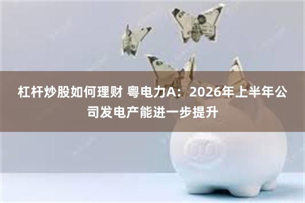 杠杆炒股如何理财 粤电力A：2026年上半年公司发电产能进一步提升