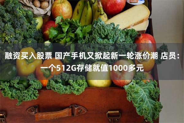 融资买入股票 国产手机又掀起新一轮涨价潮 店员:一个512G存储就值1000多元