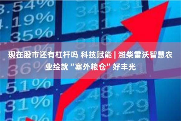 现在股市还有杠杆吗 科技赋能 | 潍柴雷沃智慧农业绘就“塞外粮仓”好丰光