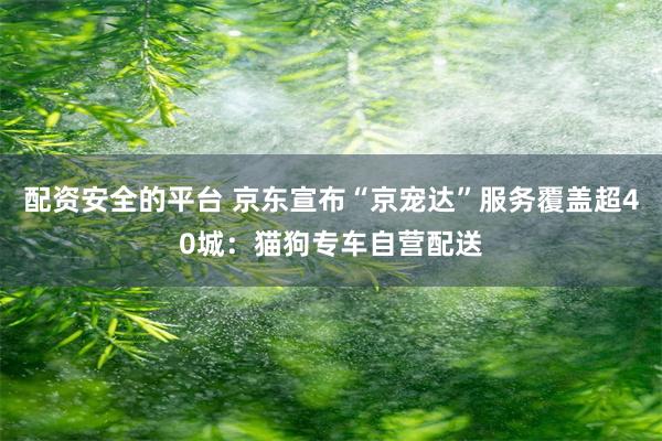 配资安全的平台 京东宣布“京宠达”服务覆盖超40城：猫狗专车自营配送