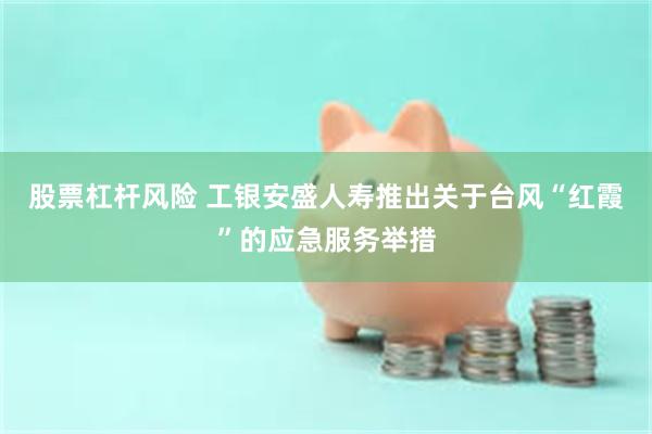 股票杠杆风险 工银安盛人寿推出关于台风“红霞”的应急服务举措