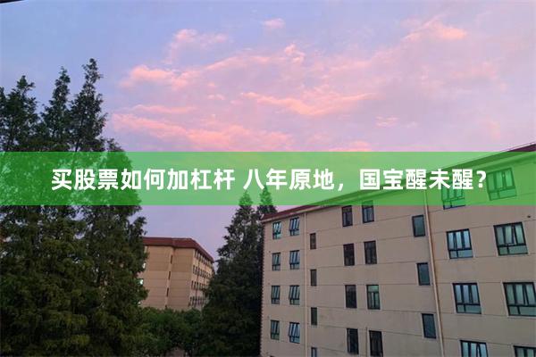 买股票如何加杠杆 八年原地，国宝醒未醒？