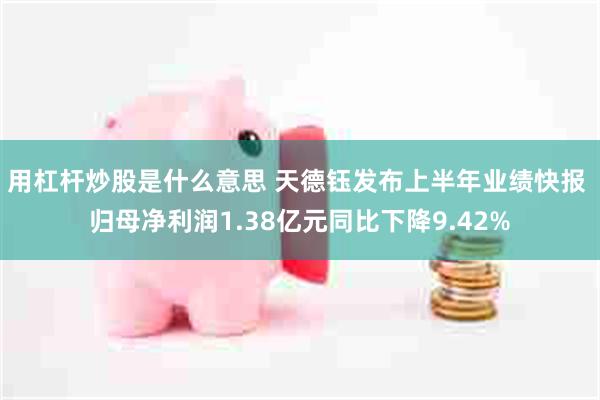 用杠杆炒股是什么意思 天德钰发布上半年业绩快报 归母净利润1.38亿元同比下降9.42%