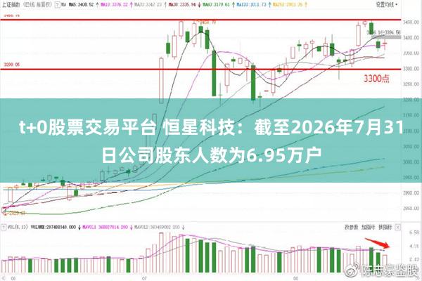 t+0股票交易平台 恒星科技：截至2026年7月31日公司股东人数为6.95万户