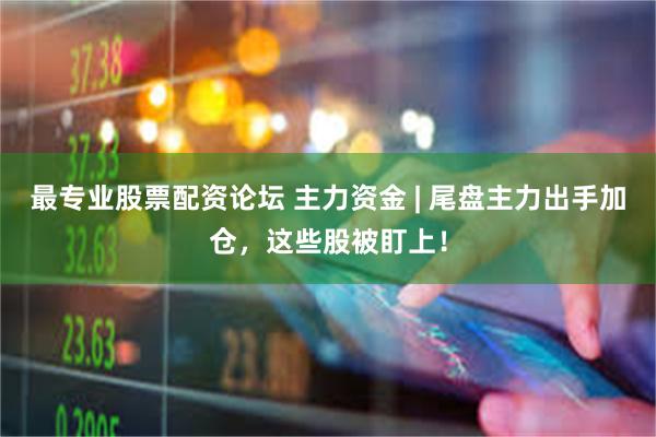 最专业股票配资论坛 主力资金 | 尾盘主力出手加仓，这些股被盯上！