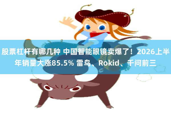 股票杠杆有哪几种 中国智能眼镜卖爆了！2026上半年销量大涨85.5% 雷鸟、Rokid、千问前三