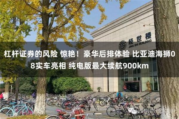 杠杆证券的风险 惊艳！豪华后排体验 比亚迪海狮08实车亮相 纯电版最大续航900km
