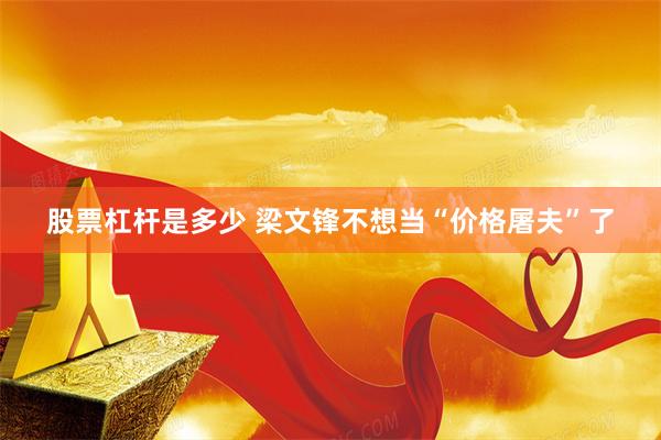 股票杠杆是多少 梁文锋不想当“价格屠夫”了