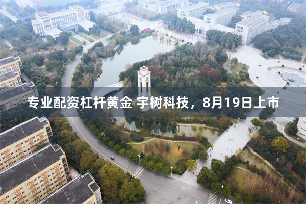 专业配资杠杆黄金 宇树科技，8月19日上市
