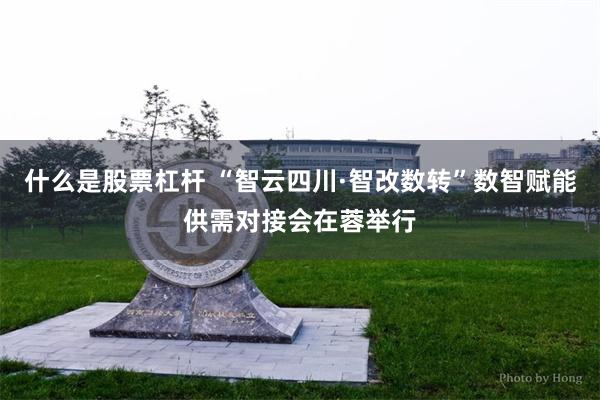 什么是股票杠杆 “智云四川·智改数转”数智赋能供需对接会在蓉举行
