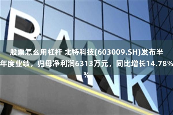 股票怎么用杠杆 北特科技(603009.SH)发布半年度业绩，归母净利润6313万元，同比增长14.78%