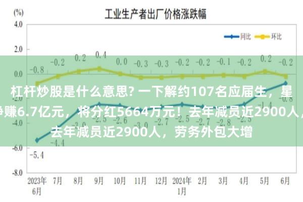 杠杆炒股是什么意思? 一下解约107名应届生,星宇股份上半年净赚6.7亿元,将分红5664万元!去年减员近2900人,劳务外包大增
