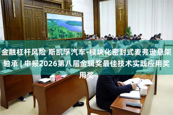 金融杠杆风险 斯凯孚汽车-模块化密封式麦弗逊悬架轴承 | 申报2026第八届金辑奖最佳技术实践应用奖