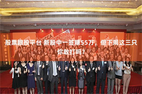 股票跟投平台 新股中一签赚55万，但下周这三只你敢打吗？