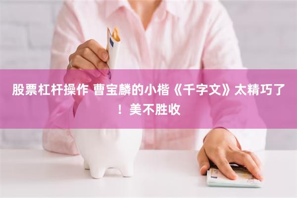 股票杠杆操作 曹宝麟的小楷《千字文》太精巧了！美不胜收