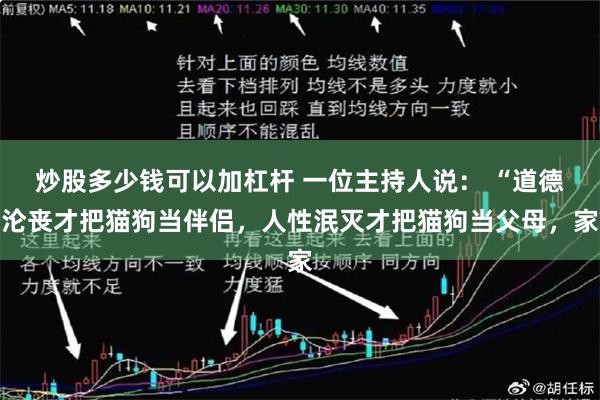 炒股多少钱可以加杠杆 一位主持人说： “道德沦丧才把猫狗当伴侣，人性泯灭才把猫狗当父母，家